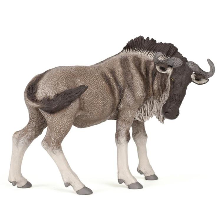 Antylopa Gnu