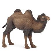 Wielbłąd dwugarbny