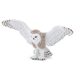 Sowa śnieżna w locie