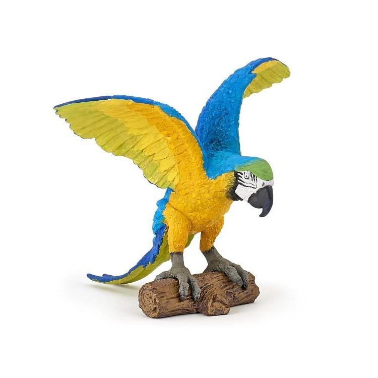 Papuga Ara niebieska