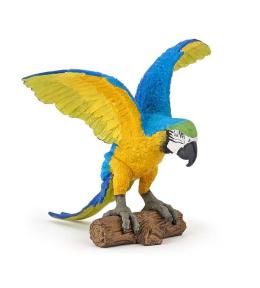 Papuga Ara niebieska