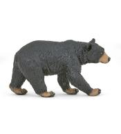 Niedźwiedź czarny amerykański