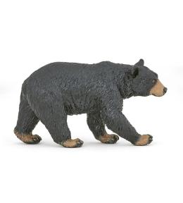 Niedźwiedź czarny amerykański