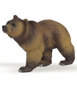 Niedźwiedź pirenejski