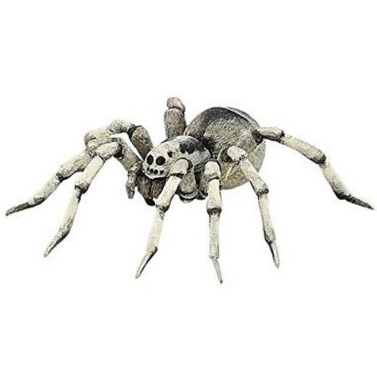 Tarantula