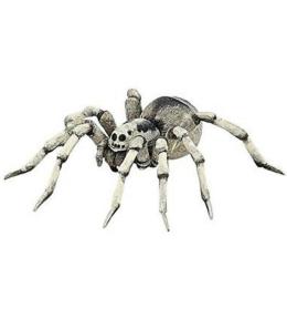 Tarantula