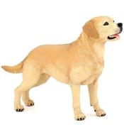 Labrador