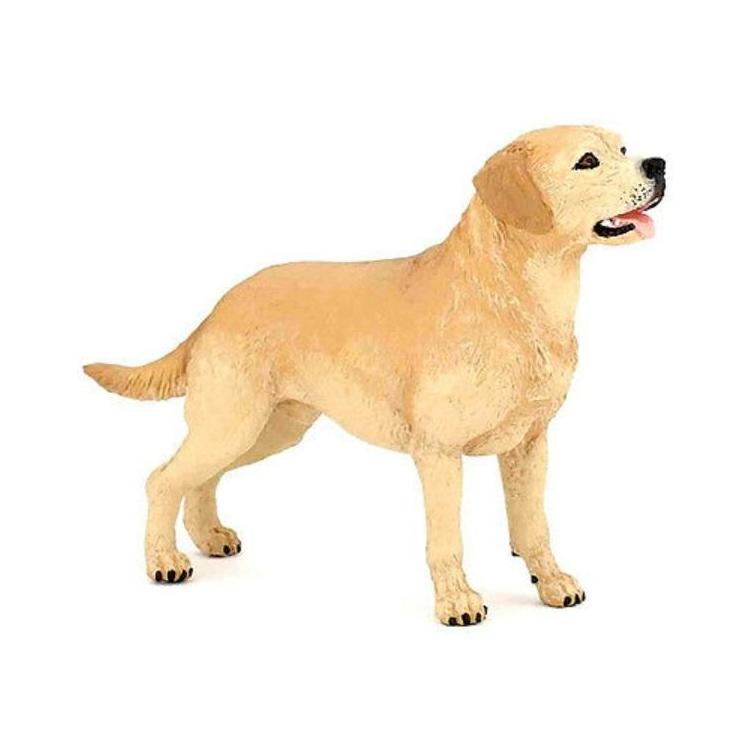 Labrador