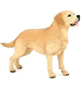 Labrador