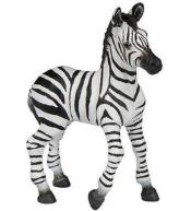 Zebra źrebię
