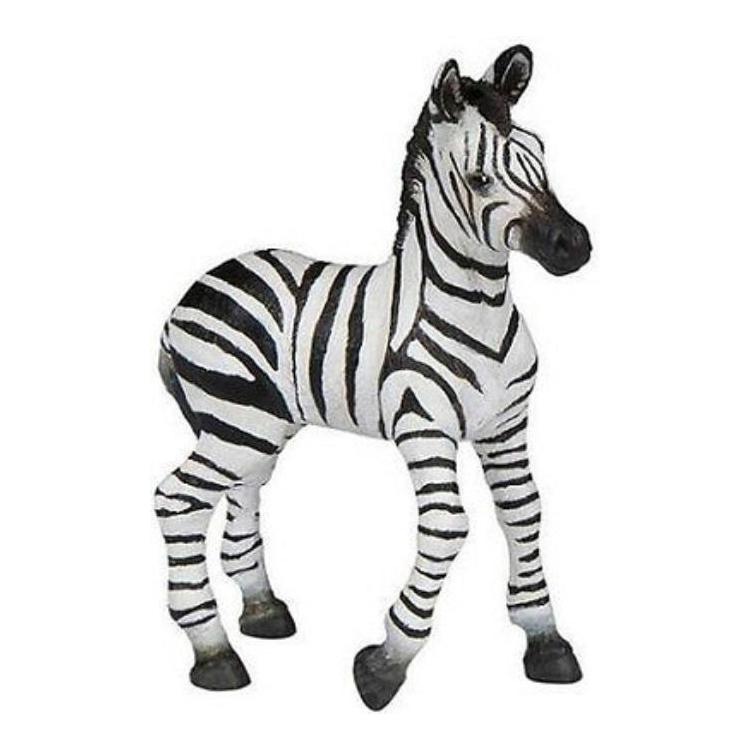 Zebra źrebię