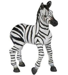 Zebra źrebię