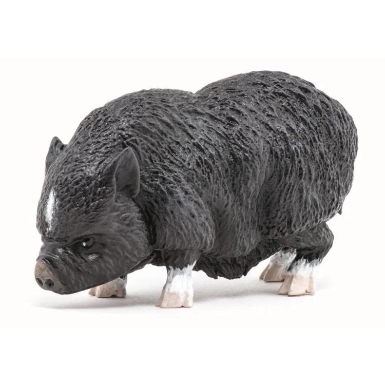 Wietnamska świnia zwisłobrzucha