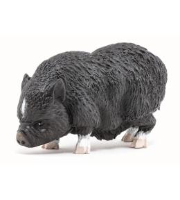 Wietnamska świnia zwisłobrzucha