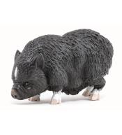 Wietnamska świnia zwisłobrzucha