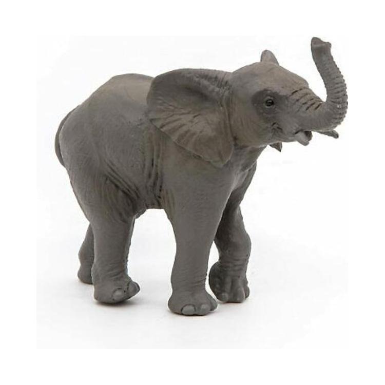 Słoń młody afrykański