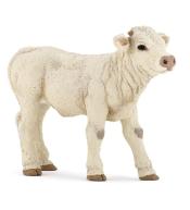 Cielę rasy Charolaise