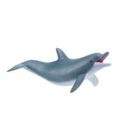 Delfin bawiący się