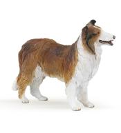 Owczarek Collie