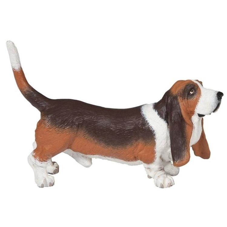 Basset
