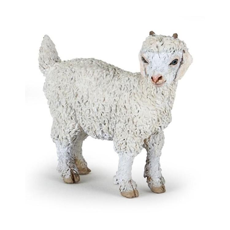 Koza angorska młoda