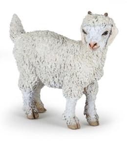 Koza angorska młoda