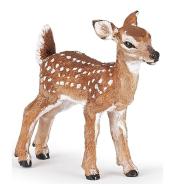 Płowy mulak białoogonowy jelonek