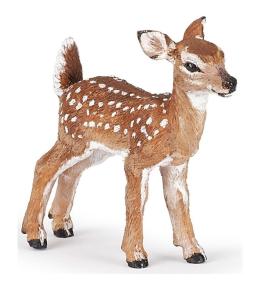 Płowy mulak białoogonowy jelonek