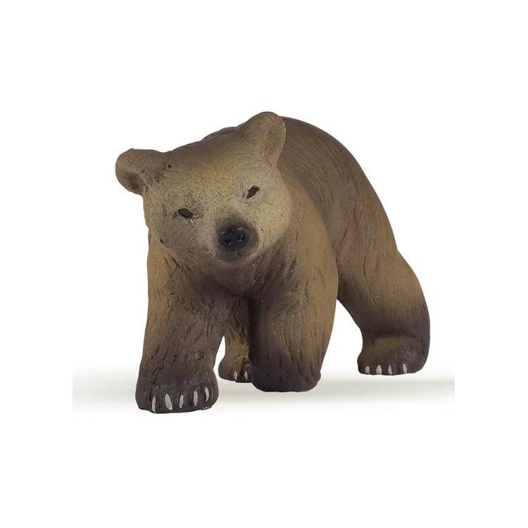 Niedźwiedź pirenejski młody