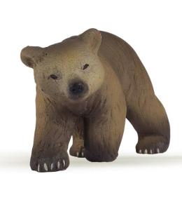 Niedźwiedź pirenejski młody