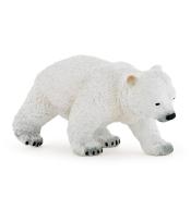 Niedźwiedź polarny młody