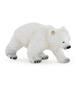 Niedźwiedź polarny młody