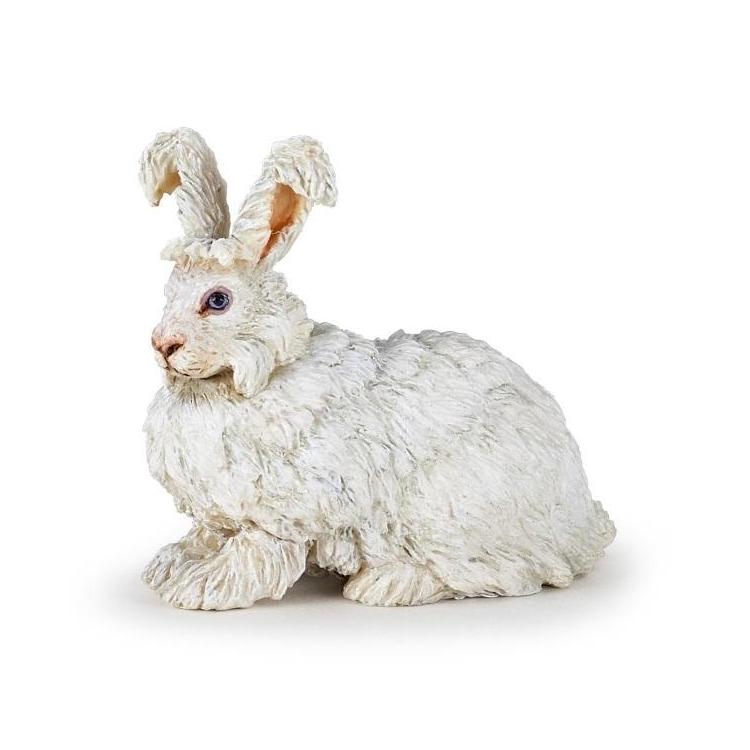 Krolik angora