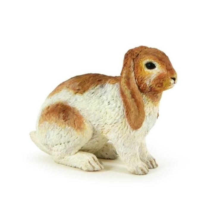 Królik Holland Lop