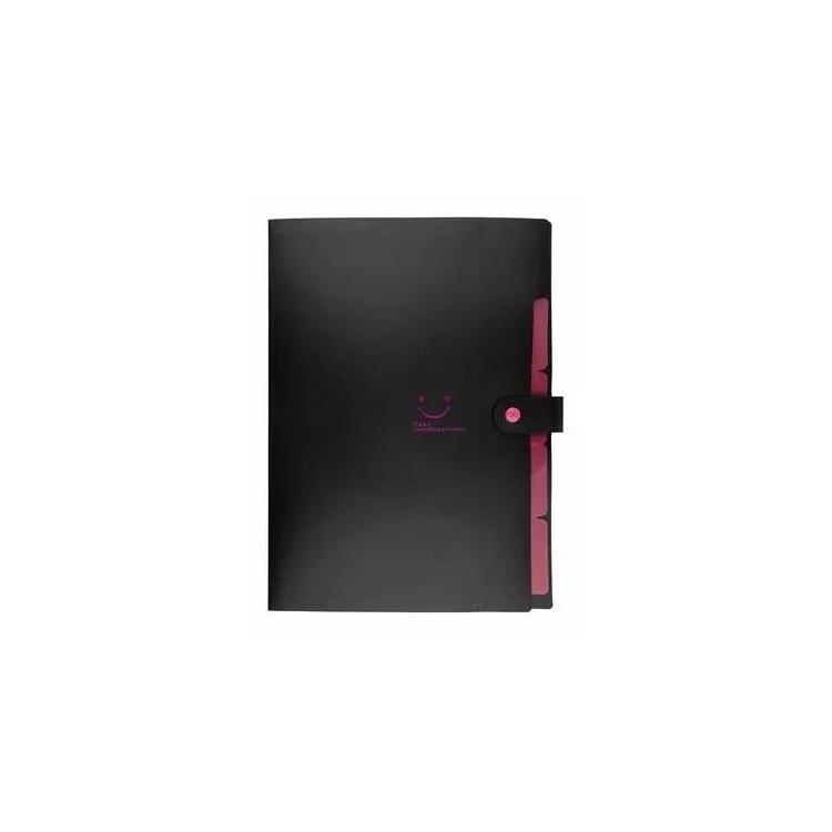 Teczka plastikowa A4 z 5 przegródkami czarna