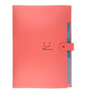 Teczka plastikowa A4 z 5 przegródkami czerwona