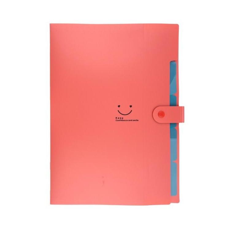 Teczka plastikowa A4 z 5 przegródkami czerwona