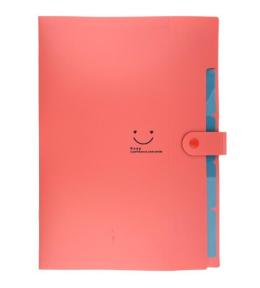 Teczka plastikowa A4 z 5 przegródkami czerwona