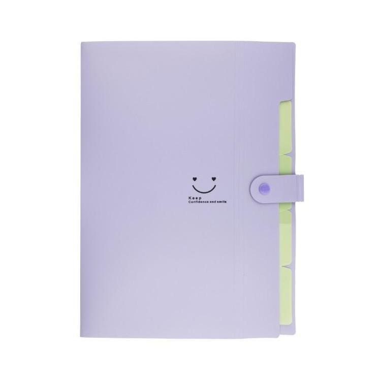 Teczka plastikowa A4 z 5 przegródkami fioletowa