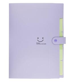Teczka plastikowa A4 z 5 przegródkami fioletowa