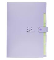 Teczka plastikowa A4 z 5 przegródkami fioletowa
