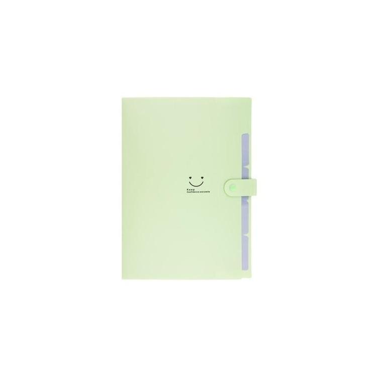 Teczka plastikowa A4 z 5 przegródkami zielona