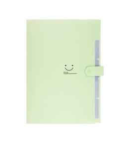 Teczka plastikowa A4 z 5 przegródkami zielona