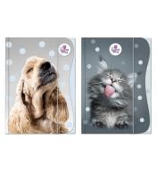 Teczka z gumką A4 The Sweet Pets