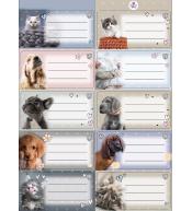 Naklejki na zeszyty pasek The Sweet Pets