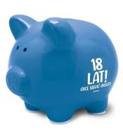 Skarbonka Pastel-18-stka chłopak