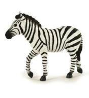 Zebra samiec