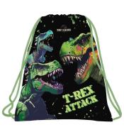 Worek na obuwie Dinozaur 20 DERFORM