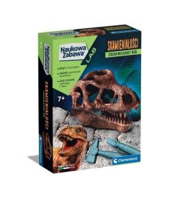 Naukowa zabawa. Skamieniałości. czaszka T-Rexa