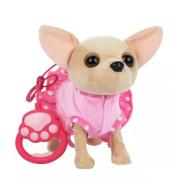 Piesek chodzący chihuahua